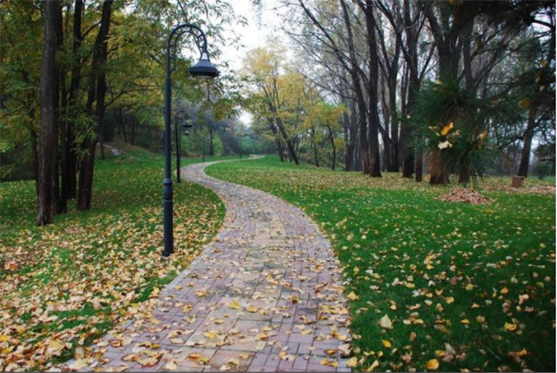 秋季——轉載網(wǎng)絡圖片