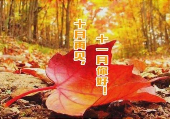 十月再見，十一月你好