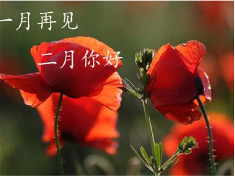 一月再見(jiàn)，美好的二月你好啊